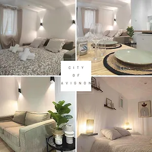 Appartement Le Cosy En Intramuros, Avignon